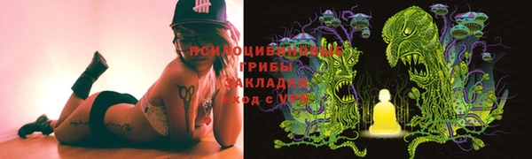 эйфоретик Баксан