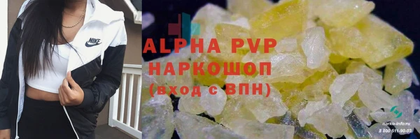 эйфоретик Баксан