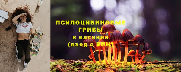 эйфоретик Баксан