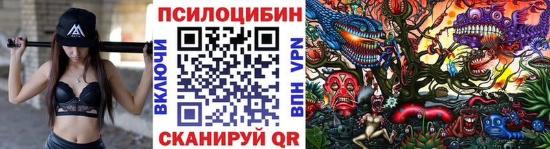 закладка  Кумертау  Псилоцибиновые грибы мухоморы 